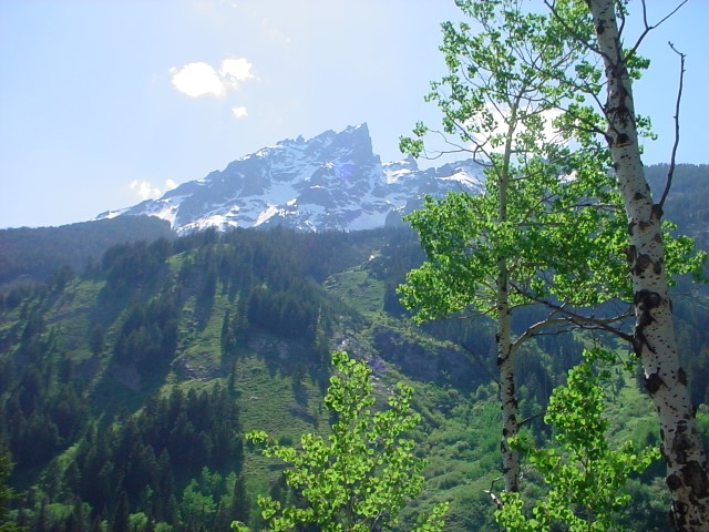 DSC00033.JPG